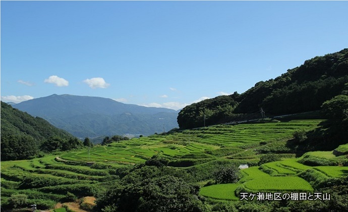 棚田と天山