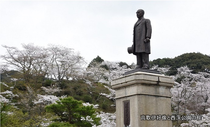 西渓公園の桜