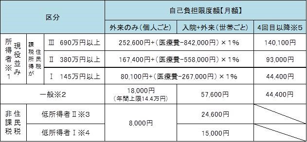 限度額2018.8~の画像