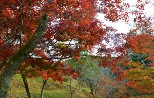 西渓公園紅葉