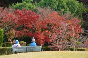 西渓公園紅葉まつり　