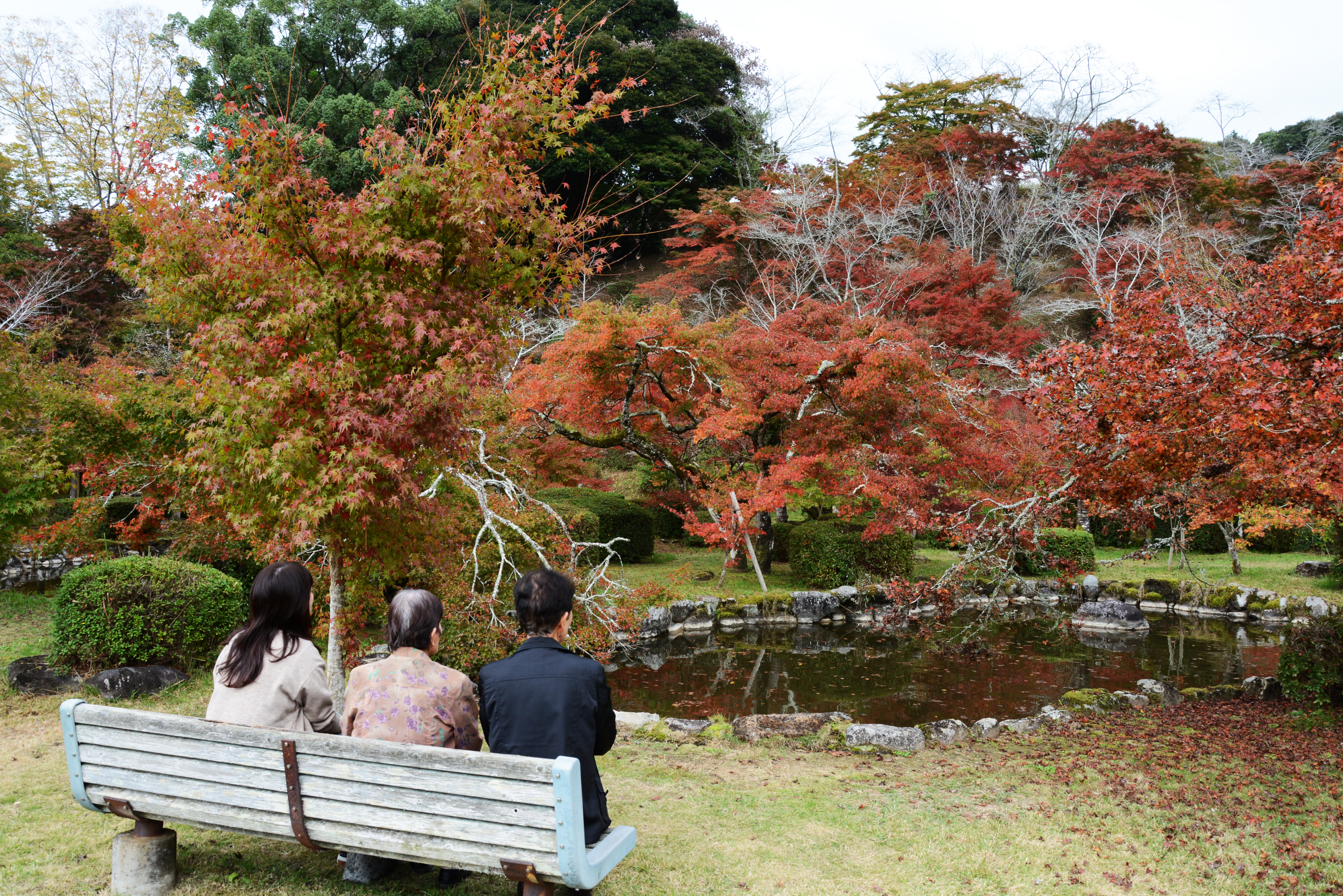 紅葉狩りをする来場者