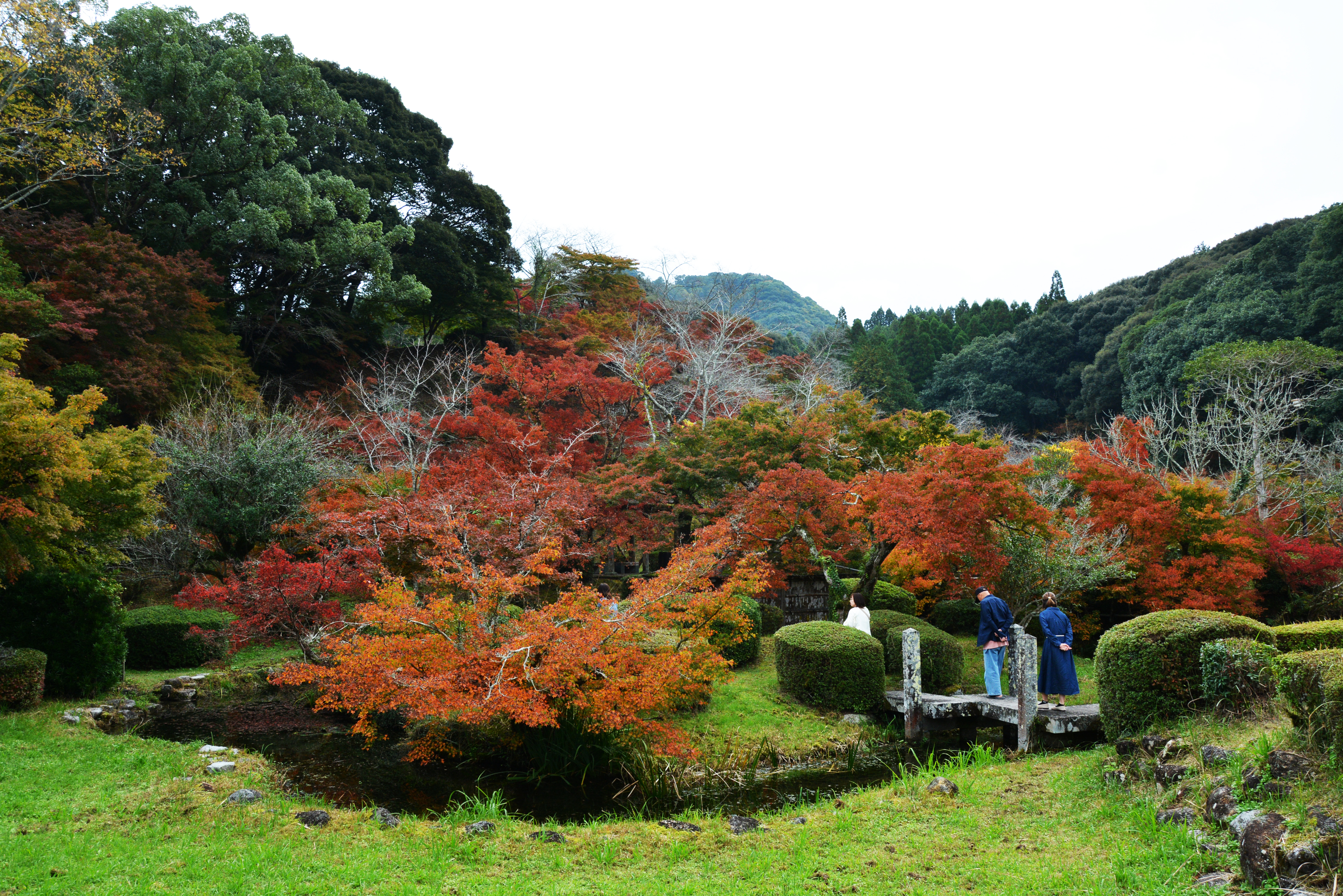 西溪公園内の紅葉の様子