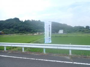 のぼり旗